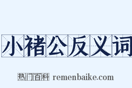 小褚公反义词是什么意思的图片
